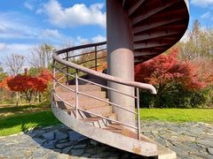 -贡湖湾湿地公园