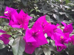 -贵阳市花溪国家城市湿地公园