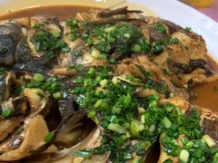 -新天明砂锅鱼头煲