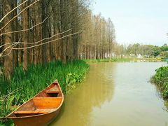 -森波拉奇妙世界