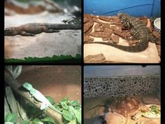 -上海大自然野生昆虫馆