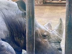 -石家庄市动物园