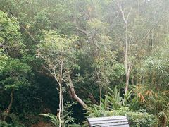 -深圳仙湖植物园