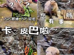 -南昌融创海世界
