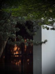-保丽宝泰母婴护理院·月子中心·产康·中医(常州店)