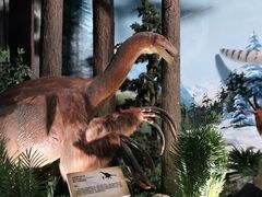 -陕西自然博物馆