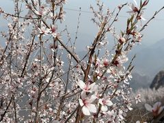 -狼牙山风景区