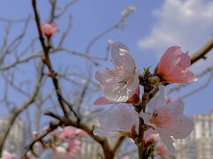 -云南艺术学院(呈贡校区)