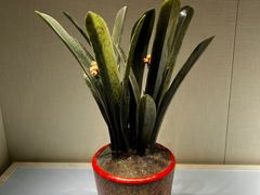 -花小小新疆炒米粉·小锅现炒(灯市口店)