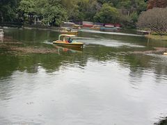 -晓港公园
