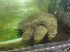 -东莞楼农家菜(金海湾大道分店)