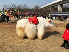 -秀丽东方