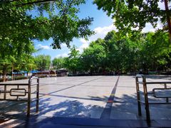 -团结湖公园