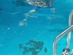 -奇缘游泳培训基地(辰茂店)