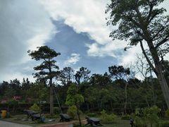 -广东惠东海龟国家级自然保护区
