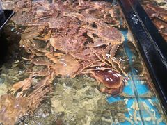 -盒马鲜生(皇庭广场店)