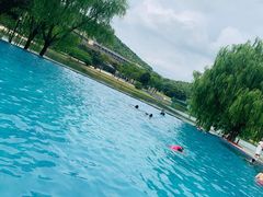 -上海佘山世茂艾美酒店
