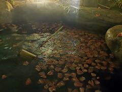 -厦门日月谷温泉渡假村