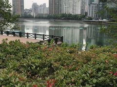 -喷泉公园