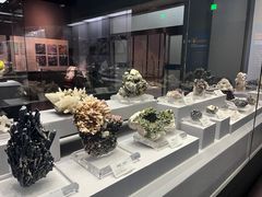 -湖南省地质博物馆