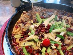 -老板恋上鱼(恒隆广场店)