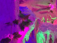 -水晶之星洗浴温泉汗蒸