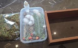 -茉莉智慧母婴护理中心(亮马河店)