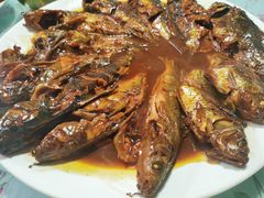 -金台阶鱼馆(于桥水库店)