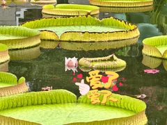 -国家植物园南园