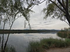 -绿堤公园