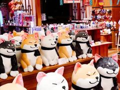-大江户·温泉洗浴(浑南店)