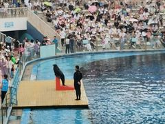 -北戴河圣蓝海洋公园