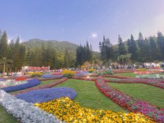 -深圳仙湖植物园