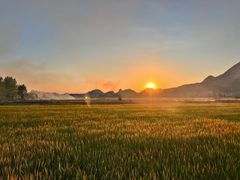 -一兰拉面(新宿中央东口店)