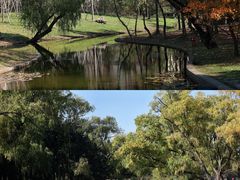 -上海共青森林公园