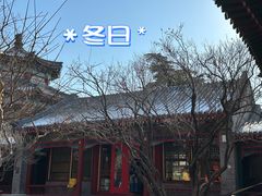 -宫事颐庭·老佛爷贵寿下午茶(颐和园店)