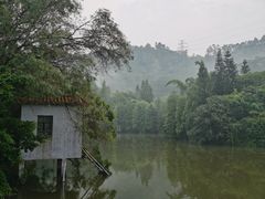 -滴水岩森林公园