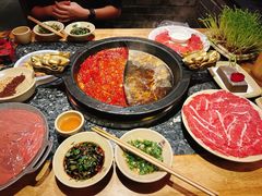 -蜀大侠火锅(总府路店)