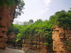 -齐王寨景区
