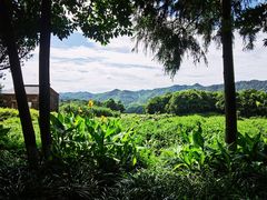 -乌石村