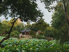 -郑和公园