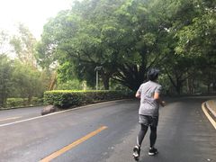 -三水森林公园