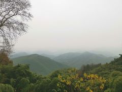 -莫干山风景区