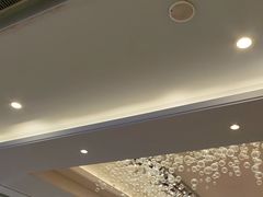 -东方御宴海鲜酒楼(棕泉酒店)