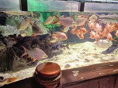 -太平洋海底世界