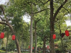 -杭州黄龙洞