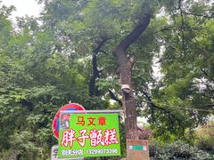 -马文章胖子甑糕(洒金桥店)