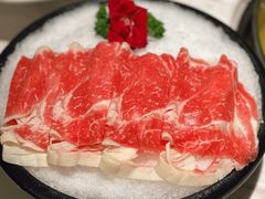 -汤城·料青山