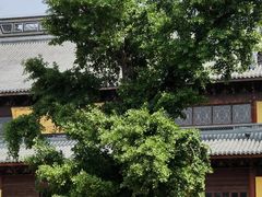 -上海青龙寺