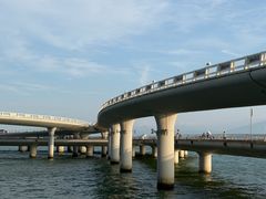 -演武大桥观景平台